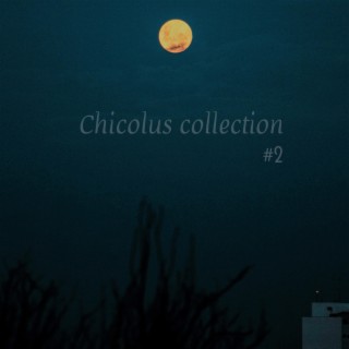 Chicolus collection 2