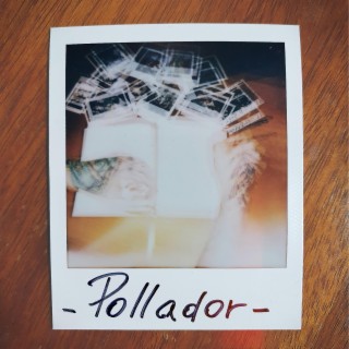 Pollador