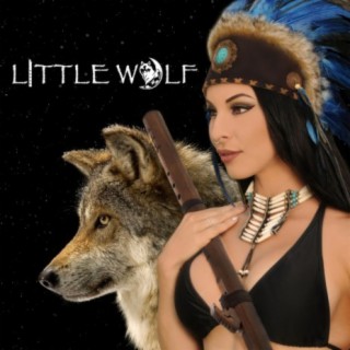 I Am Little Wolf