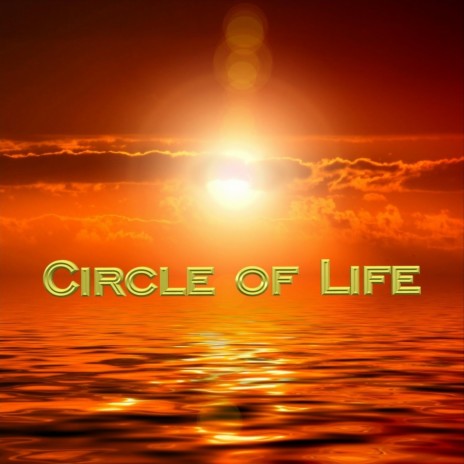 Circle of Life | Boomplay Music