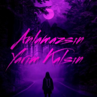 Anlamazsın Yarım Kalsın (Remix)