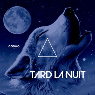 Tard la nuit lyrics | Boomplay Music