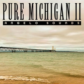 Pure Michigan II