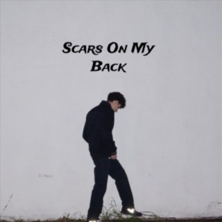 Scars on My Back