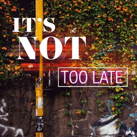 It's Not Too Late ft. Shelly Moore