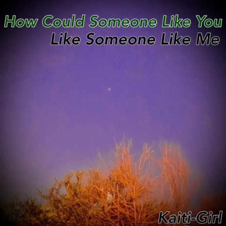 How Could Someone Like You Like Someone Like Me