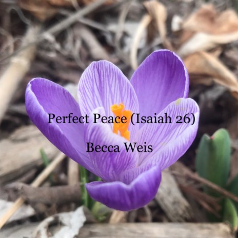 Perfect Peace (Isaiah 26) | Boomplay Music