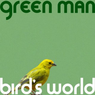 Bird's World