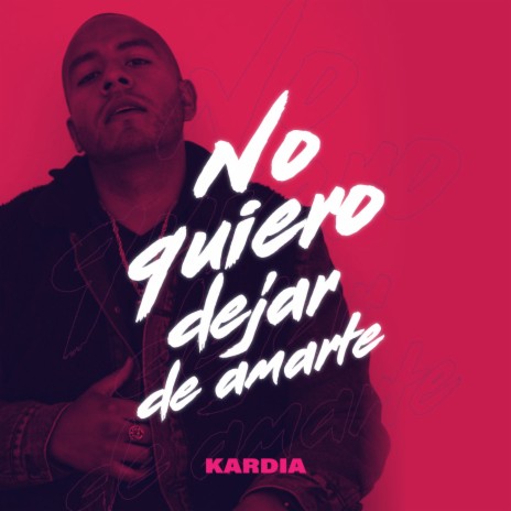 No Quiero Dejar de Amarte | Boomplay Music