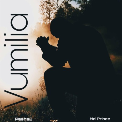 Vumilia ft. Pasha2 | Boomplay Music