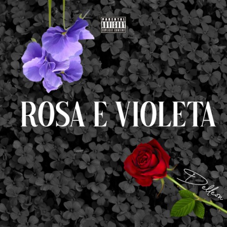 Rosa e Violeta | Boomplay Music