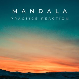 Practice Reaction