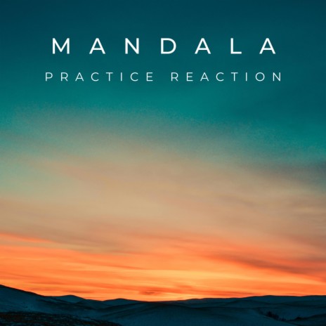 Practice Reaction | Boomplay Music