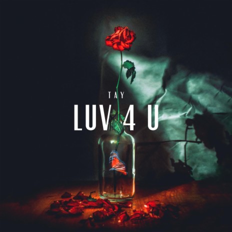 Luv 4 U | Boomplay Music