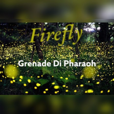 Firefly | Boomplay Music