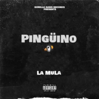 Pinguino