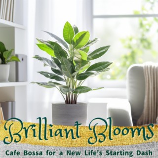 Cafe Bossa for a New Life's Starting Dash