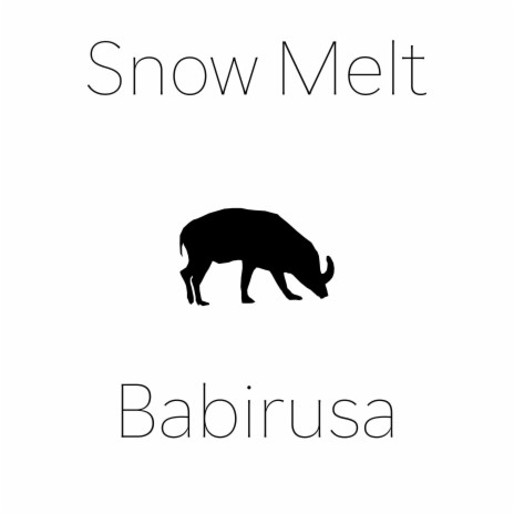 Babirusa