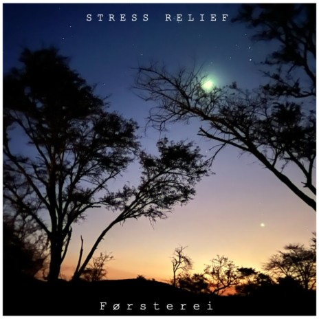 Stress Relief | Boomplay Music