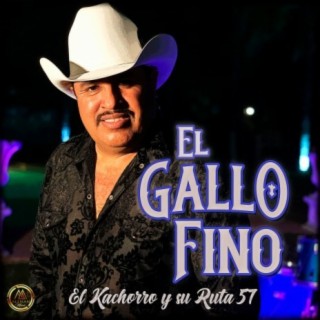 El Gallo Fino