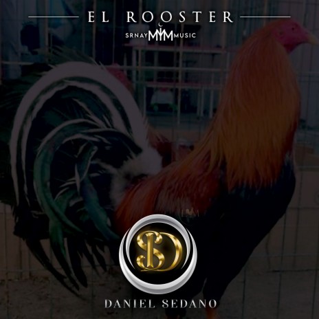 El Rooster | Boomplay Music