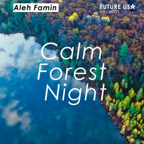 Calm Forest Night | Boomplay Music