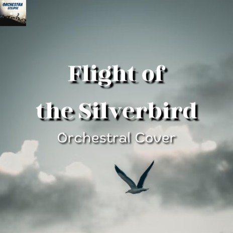 Flight of the Silverbird | Boomplay Music