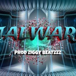 ziggy beatzzz malware