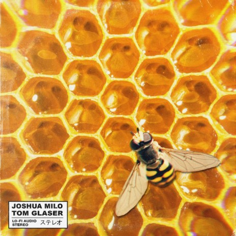 QUEEN BEE ft. Tom Glaser