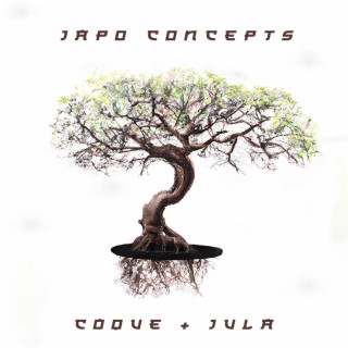 Japo Concepts