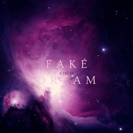 Fake Dream | Boomplay Music