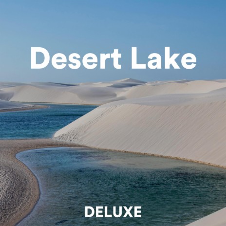 Desert Lake