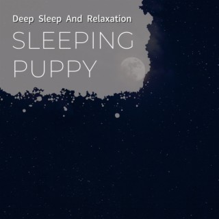 Deep Sleep and Relaxation