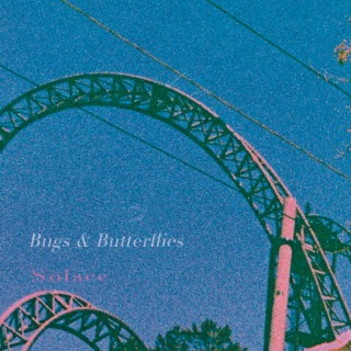 Bugs & Butterflies / Solace