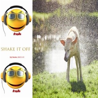 Shake It Off