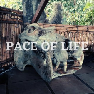 Pace of life