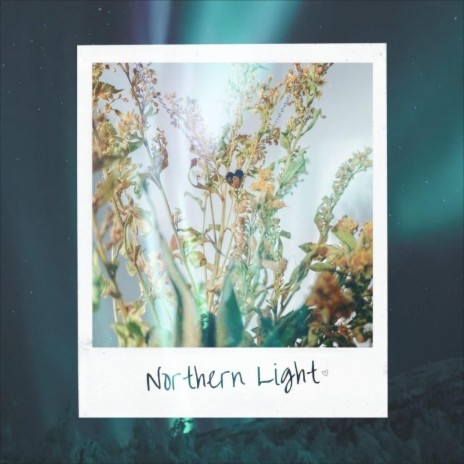 Northern Light | Boomplay Music
