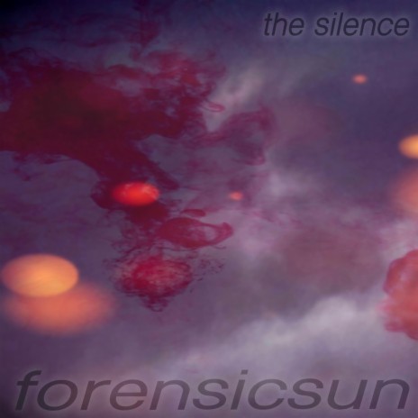 The Forensic Sun