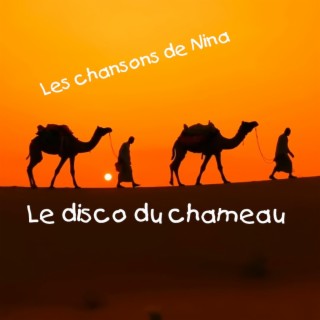 Le disco du chameau