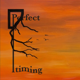 Perfect Timing lyrics | Boomplay Music