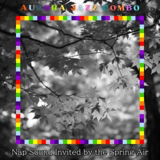 Nap Sound Invited by the Spring Air