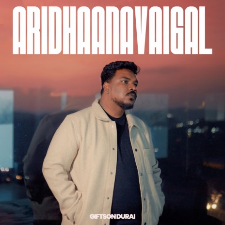 Aridhaanavaigal ft. Nalini vittobane | Boomplay Music