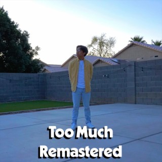 Too Much (Remastered) lyrics | Boomplay Music