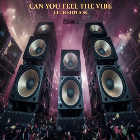 Can You Feel the Vibe Club Edition ft. Tonica | Boomplay Music