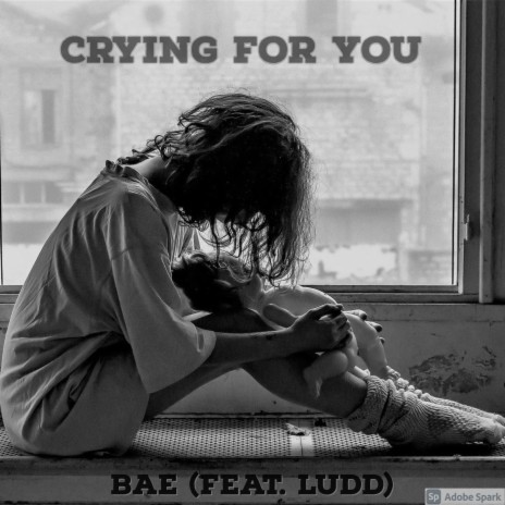 Crying For You (feat. Ludd) | Boomplay Music