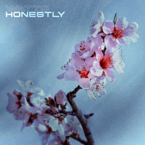 Honestly | Boomplay Music