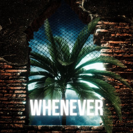Whenever | Boomplay Music
