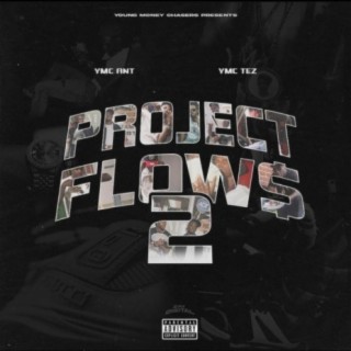 Project Flows 2