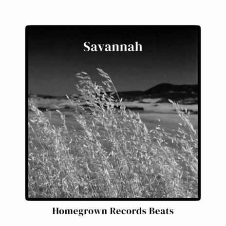 Savannah, (Afro Beats Instrumental) | Boomplay Music