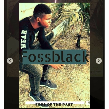 Foss of the Past | Boomplay Music